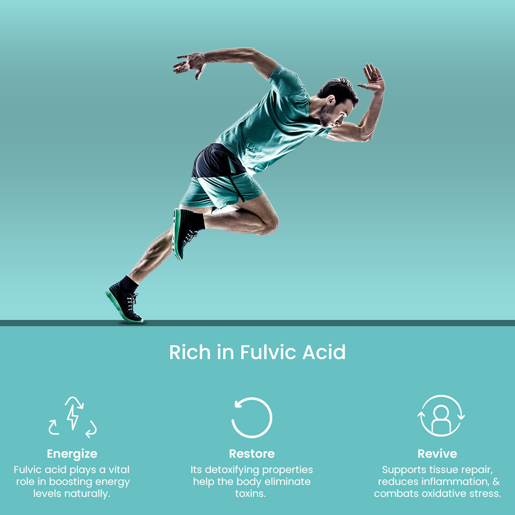 Jagat Pharma Himalayan Sj Gold Plus Resin 20g -For Strength Power Stamina