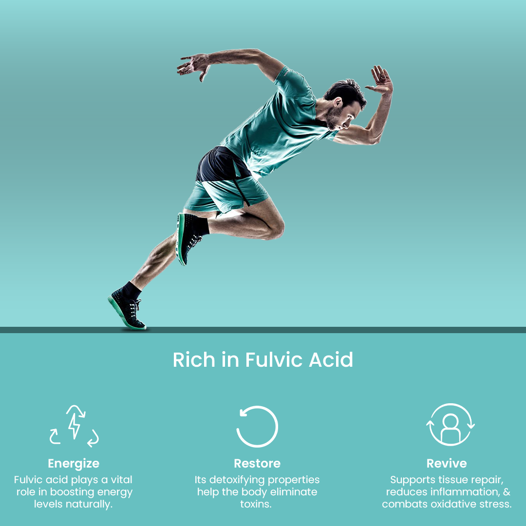 Jagat Pharma Himalayan Sj Gold Plus Resin 20g -For Strength Power Stamina