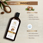 The Man Company Blanc Body Lotion For Men