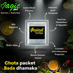 Sanskriti Magic Masala Bombay Biryani All-in-One Kit