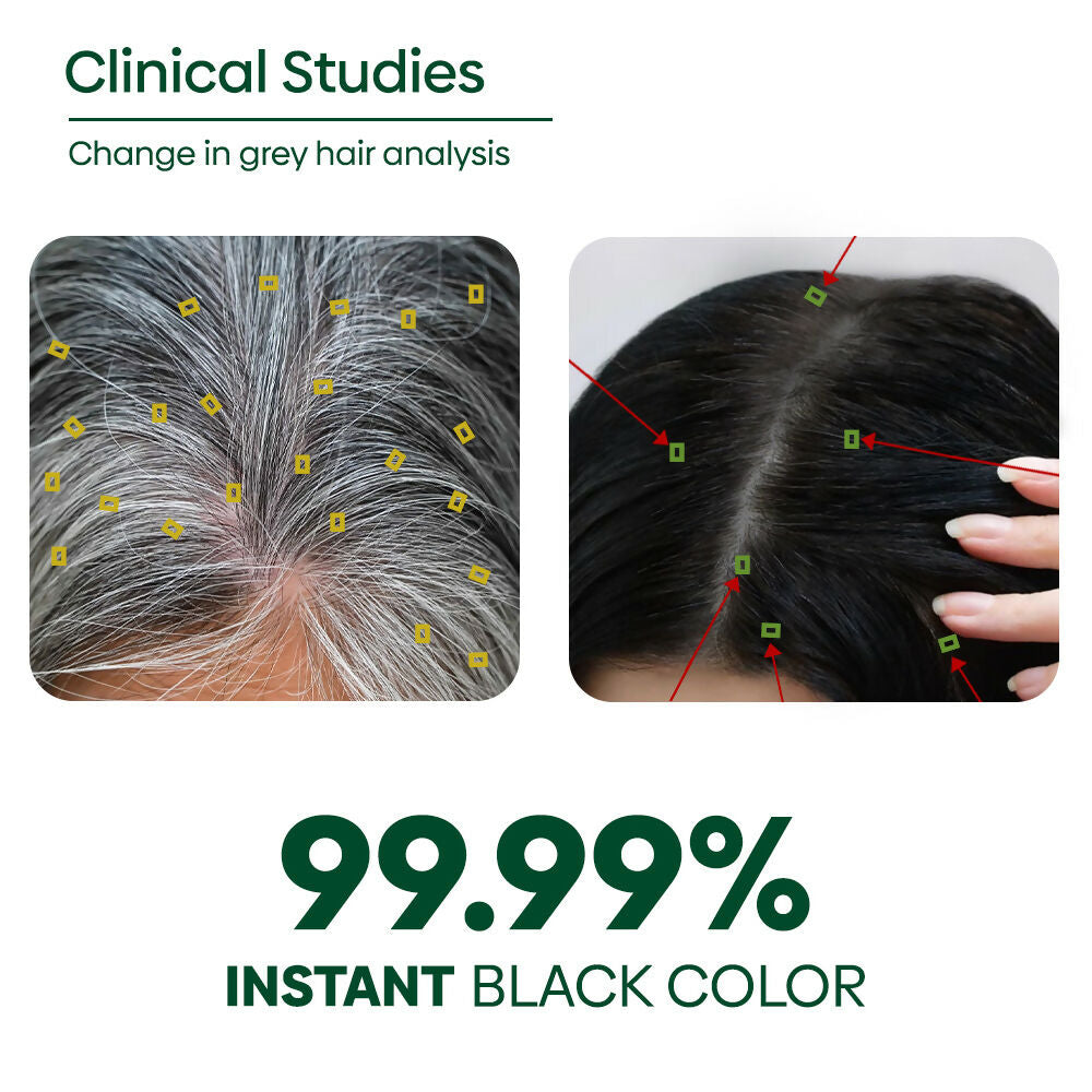 Rishi Natural Black Hair Color