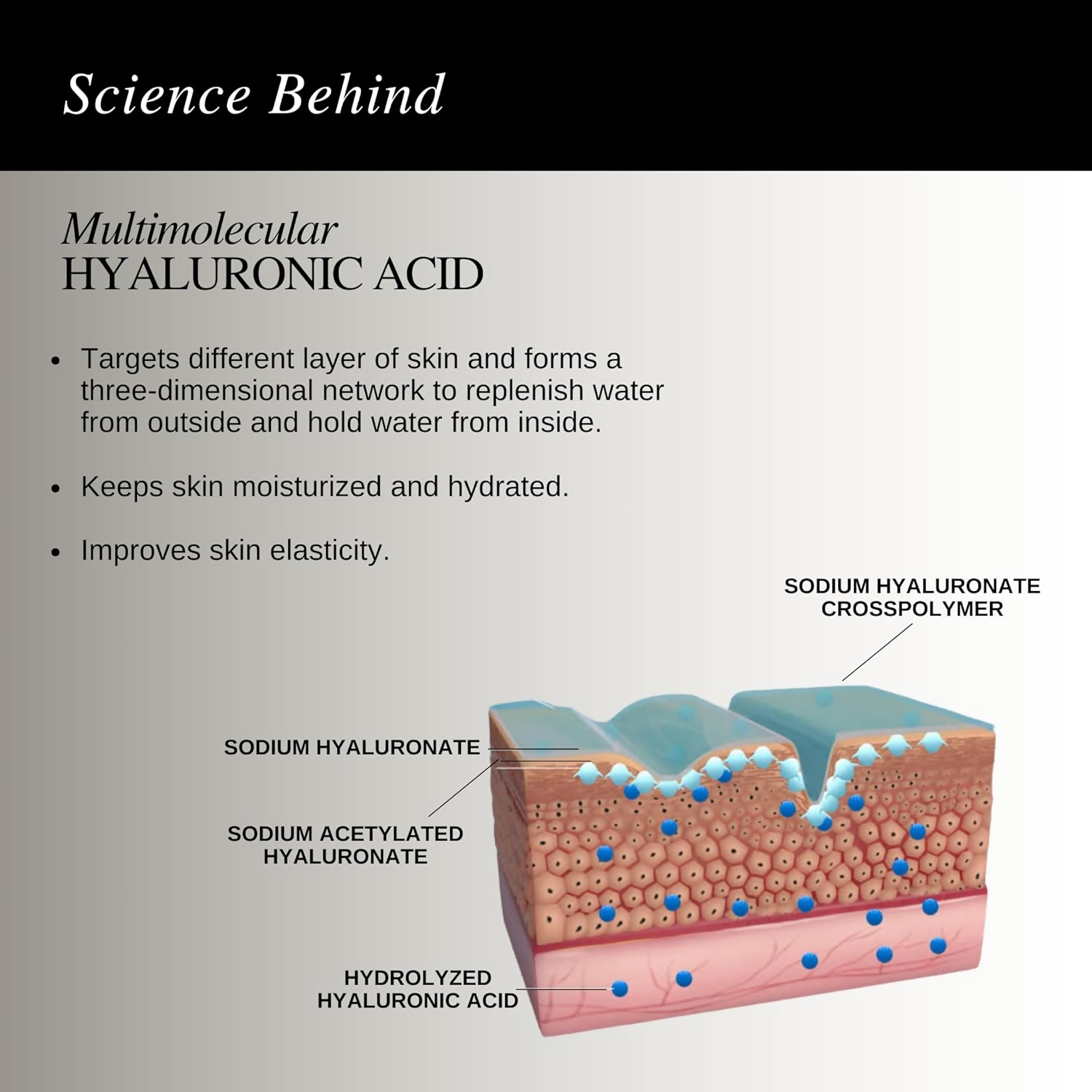 The Formularx Hydra Veil Malazia Hyaluronic Acid Gel Moisturizer