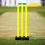 Vifitkit Cricket Stumps with Stand & Bails (Black and Flourescent Green)