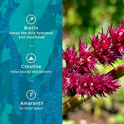 Ustraa Beard Growth Supplement