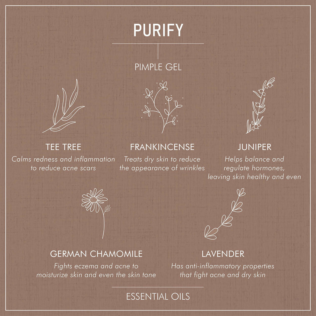 Secret Alchemist Purify Pimple Gel