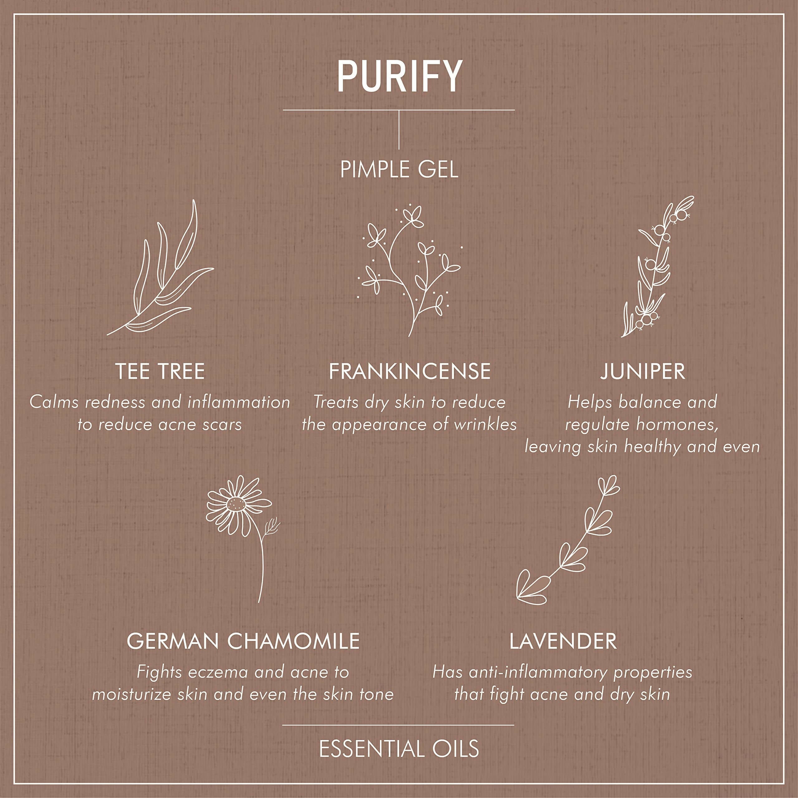 Secret Alchemist Purify Pimple Gel