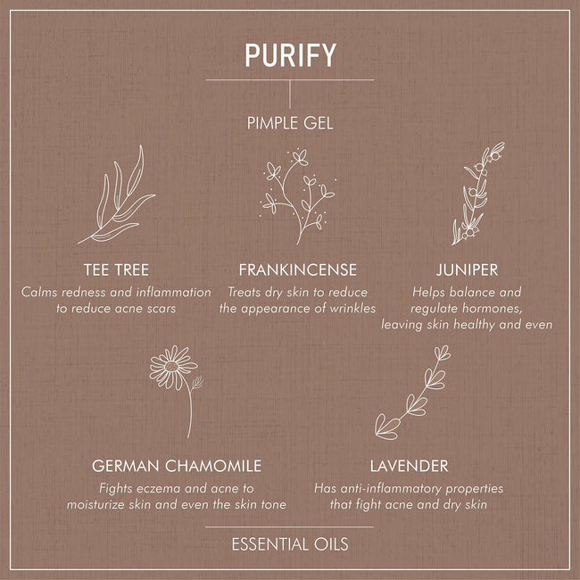 Secret Alchemist Purify Pimple Gel Main Image