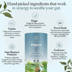 Wellbeing Nutrition Digest Green Tea