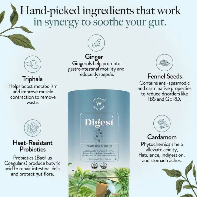 Wellbeing Nutrition Digest Green Tea Main Image