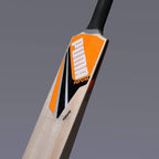 Puma Future Kashmir Willow Cricket Bat