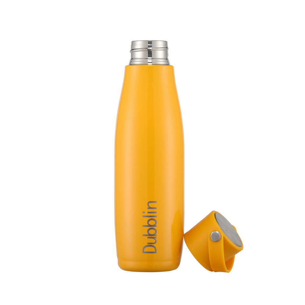 Dubblin Kiwi Vacuum Bottle