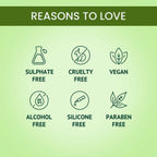 Alps Goodness Hair Growth Expert Kit with Rosemary Water Spray & Rosemary Water Refill