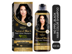 Kokila Organics NO PPD Shampoo Hair Colour - Black