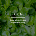 Lotus Botanicals Cica Pore Minimizing Face Gel