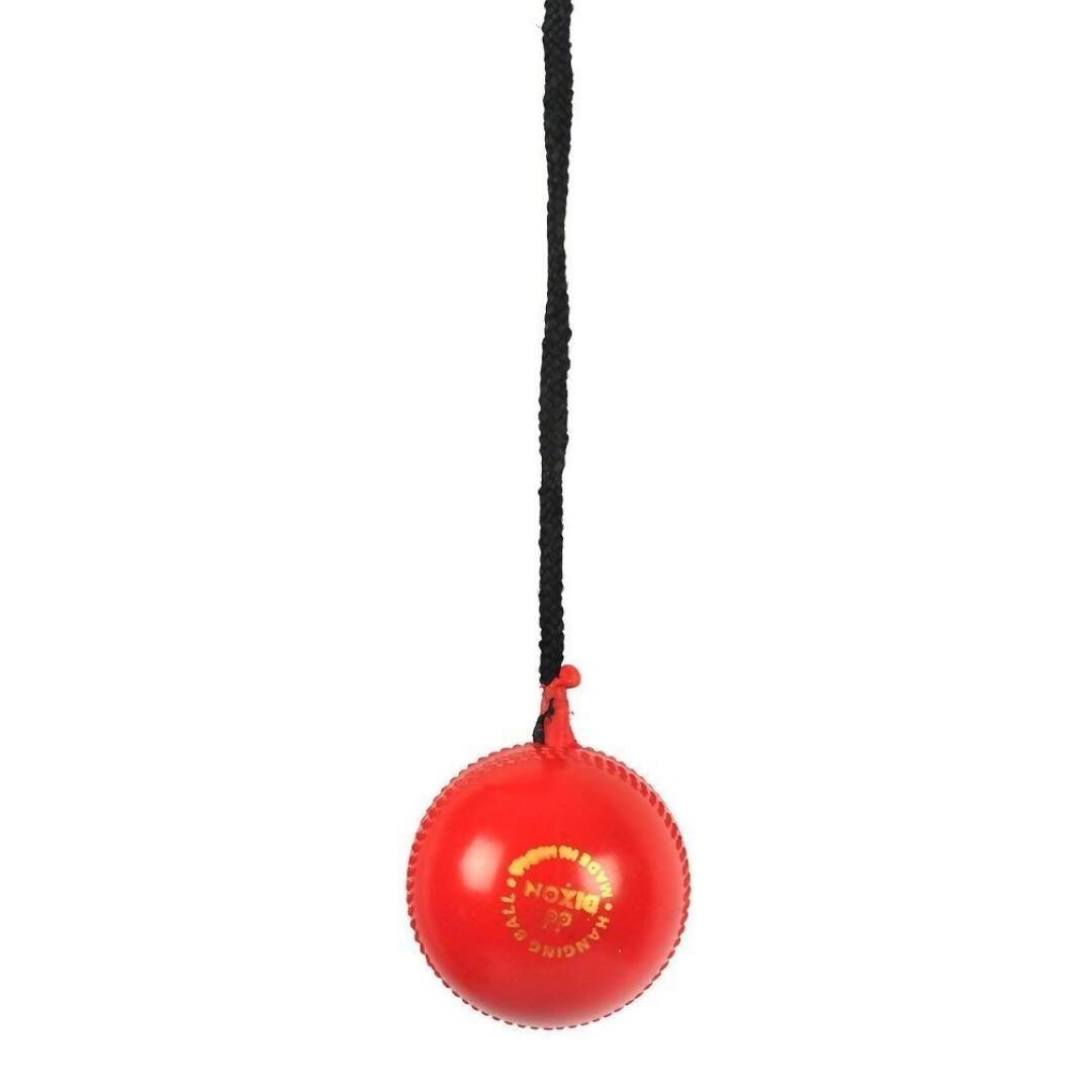 SG Iball Synthetic Hanging Ball - Red