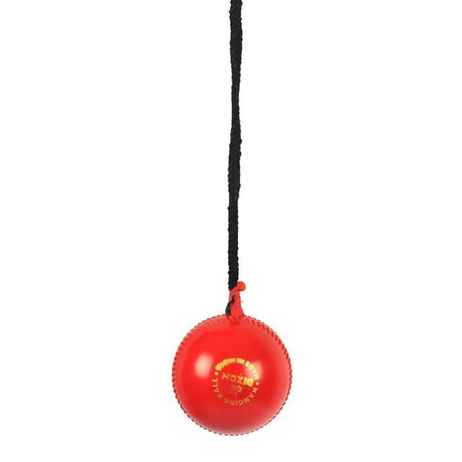 SG Iball Synthetic Hanging Ball - Red Main Image