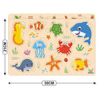 Webby Wooden Educational Colorful Puzzle for Preschool Kids - Set of 6