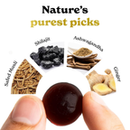 Better Alt Gold+ Sj Gummies