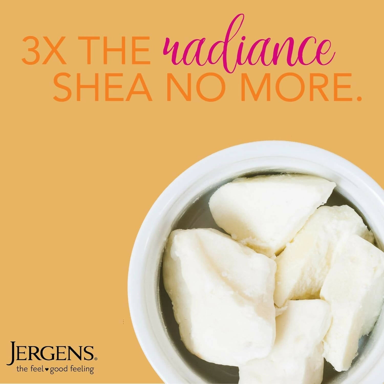 Jergens Shea Butter Deep Conditioning Moisturizer