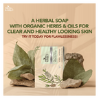 Herbs & Hills Tea Tree Germ Protection Soap