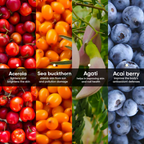 ARM Pearl Beauty Plant Based Glow Collagen Builder