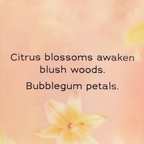 Victoria's Secret Orange Flower Sun Limited Edition Into the Clouds Body Lotion