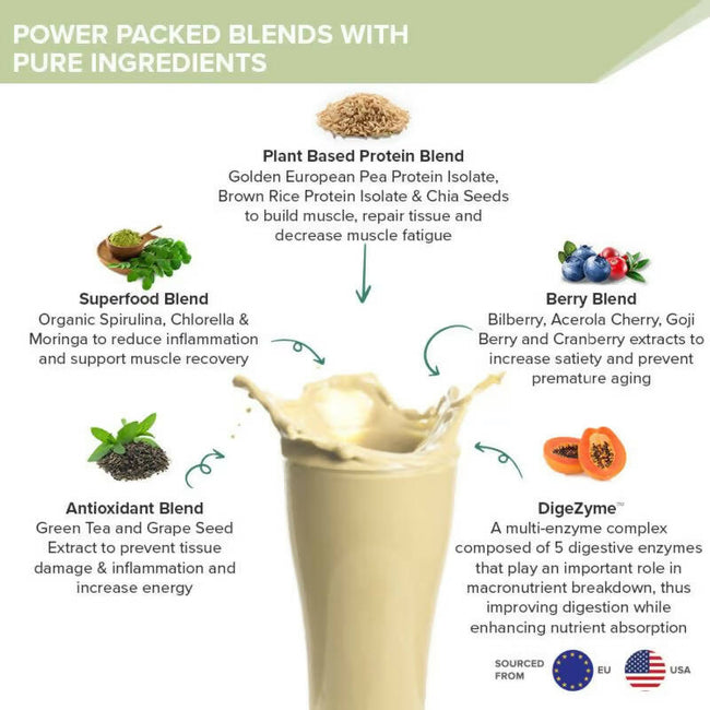 Wellbeing Nutrition Superfood Plant Protein Isolate - British Banoffee Pie Main Image