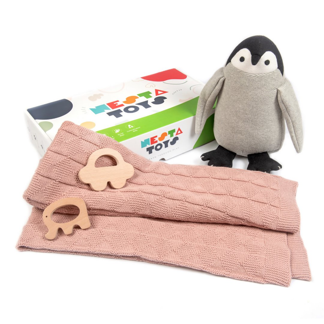 Nesta Toys Newborn Gift Set - Knitted Cotton Blanket, Penguin Plush Toy, Elephant & Car Teether Hover Image